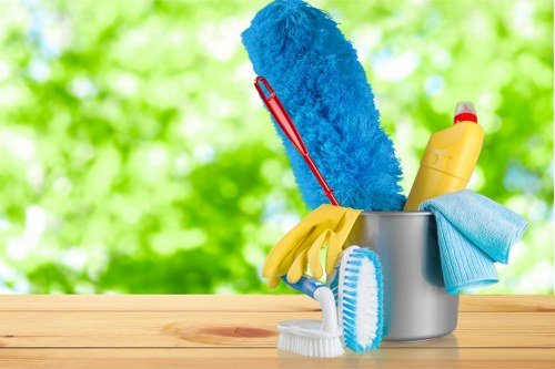 Cleaners Shoredich team performing deep cleaning in a modern kitchen