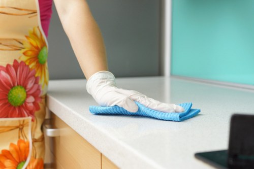 Professional carpet cleaning service in action