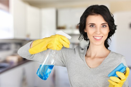 Tools used in professional oven cleaning