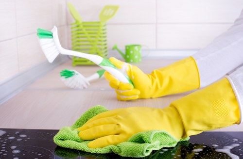 Eco-friendly cleaning products used by Cleaners Shoredich