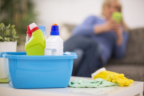 Cleaners Shoredich using eco-friendly products
